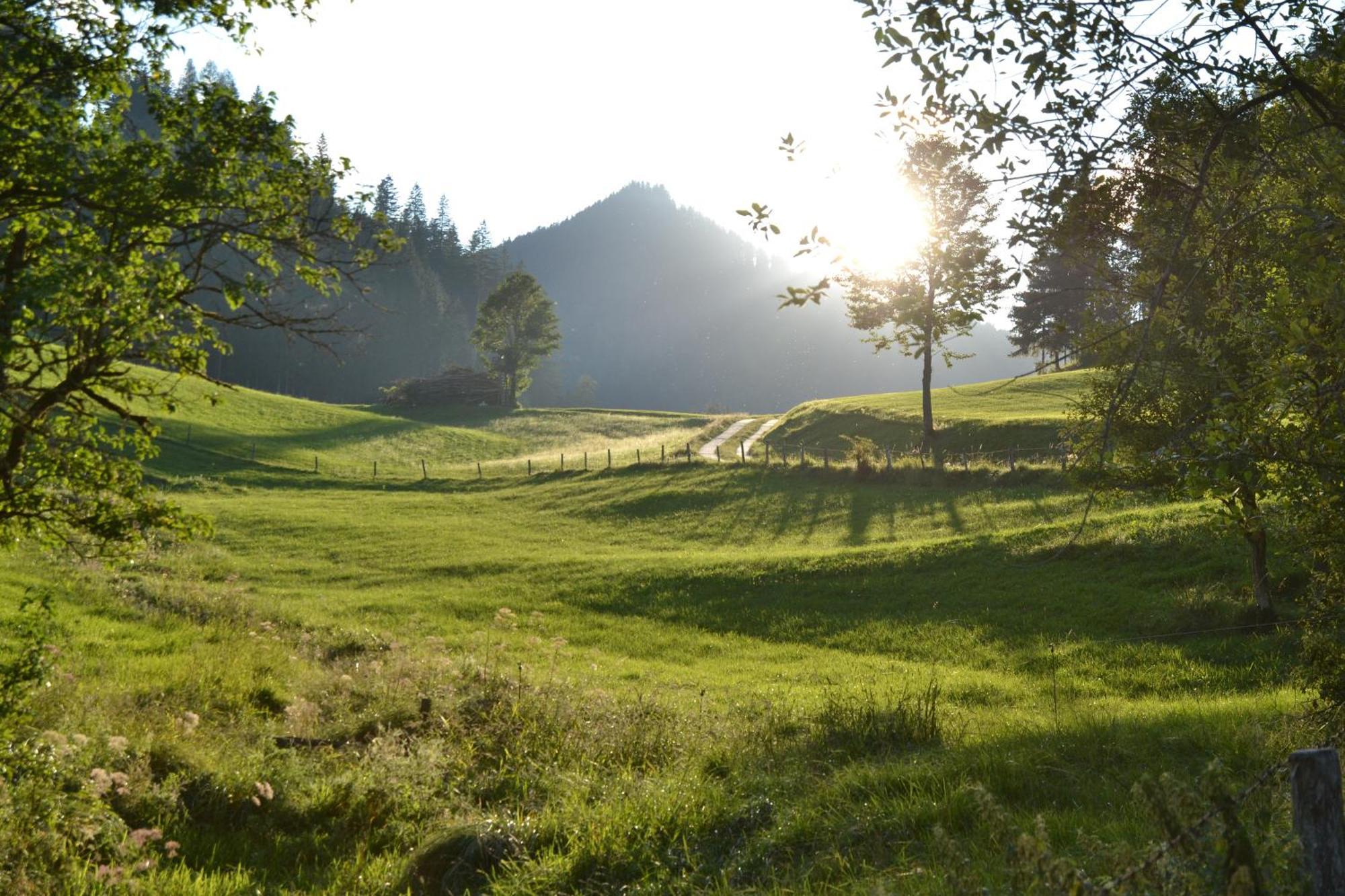 Ferienstadl - Hammerau Goestling an der Ybbs Exterior photo