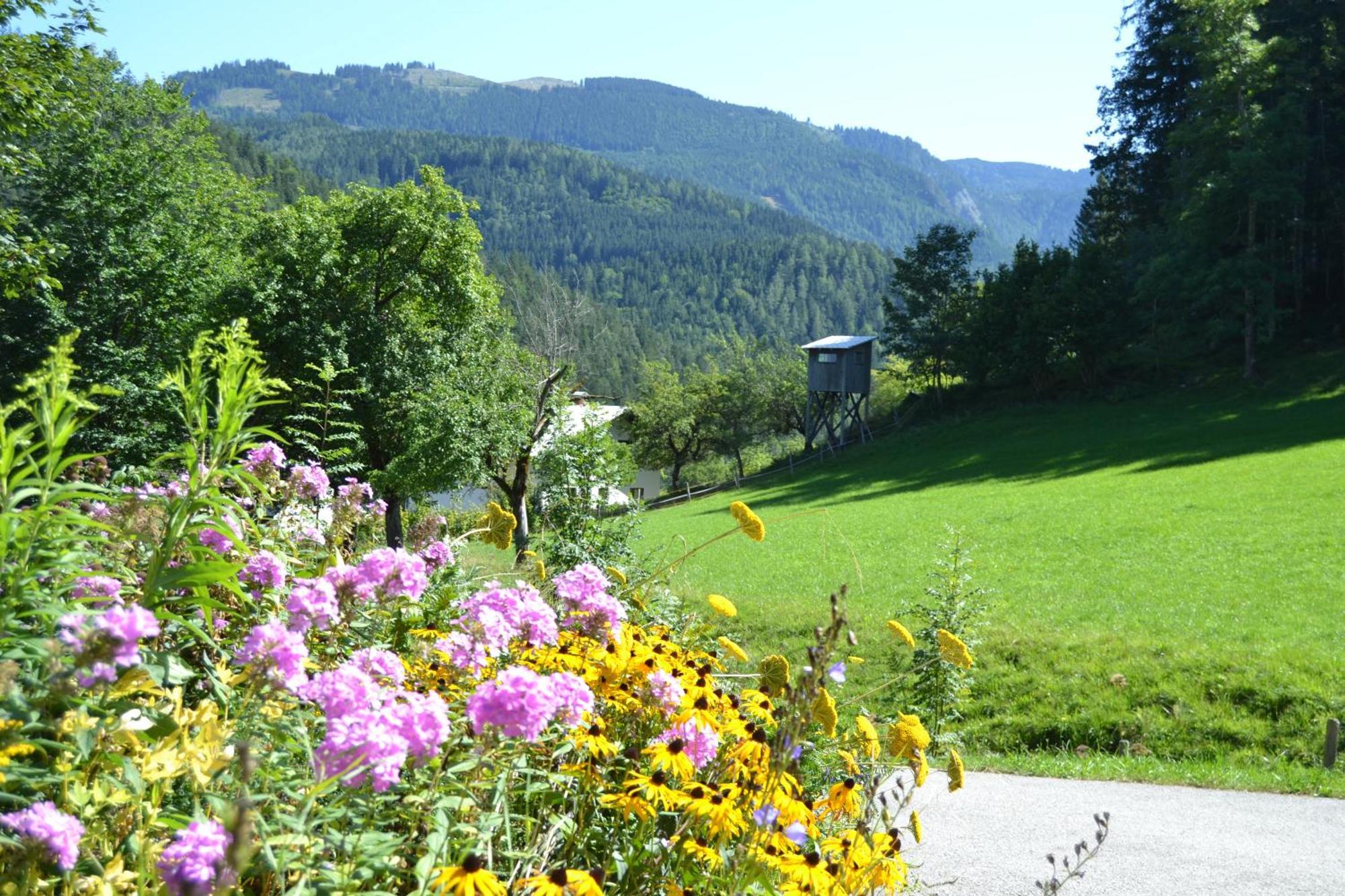 Ferienstadl - Hammerau Goestling an der Ybbs Exterior photo